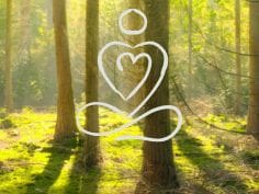 Peace of Mind van Kim Voets Mindful wandelen en bosbaden